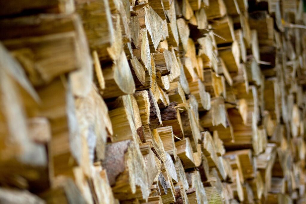 full frame shot logs forest 1638561 54 full frame shot logs forest 1638561 54