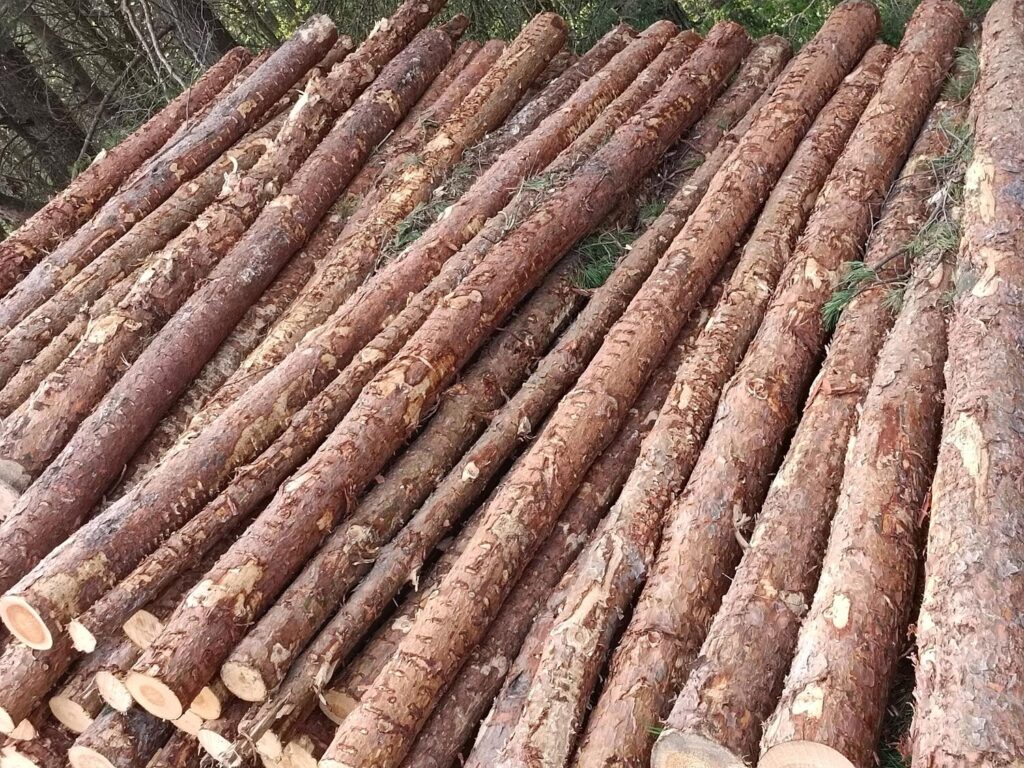 pile logs with word wood it 97694 17260 pile logs with word wood it 97694 17260